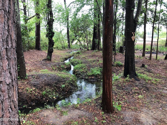 view of nature