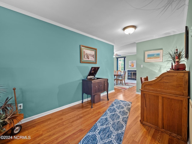 interior space featuring light hardwood / wood-style floors and ornamental molding