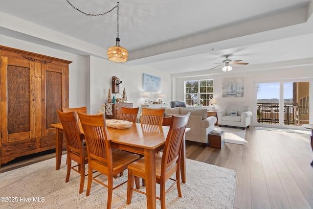 dining space with ceiling fan with notable chandelier and light hardwood / wood-style flooring