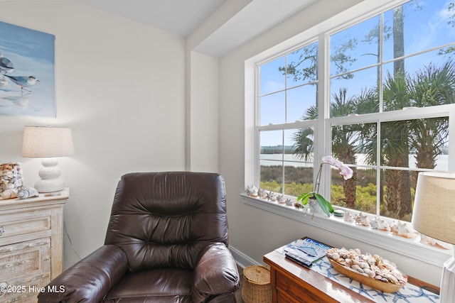 living area featuring a wealth of natural light