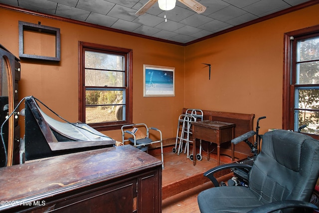 office area with ornamental molding, light wood-type flooring, and plenty of natural light