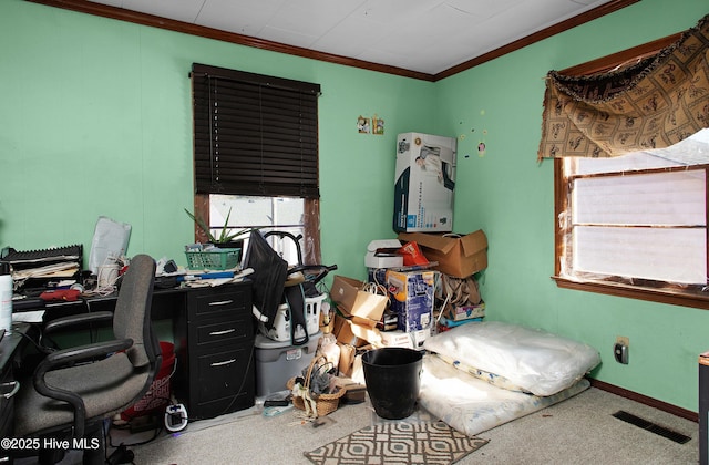 office featuring ornamental molding and carpet flooring