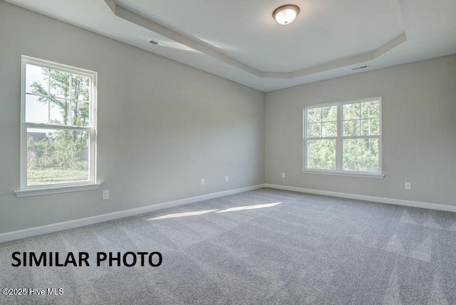 unfurnished room with a raised ceiling and carpet