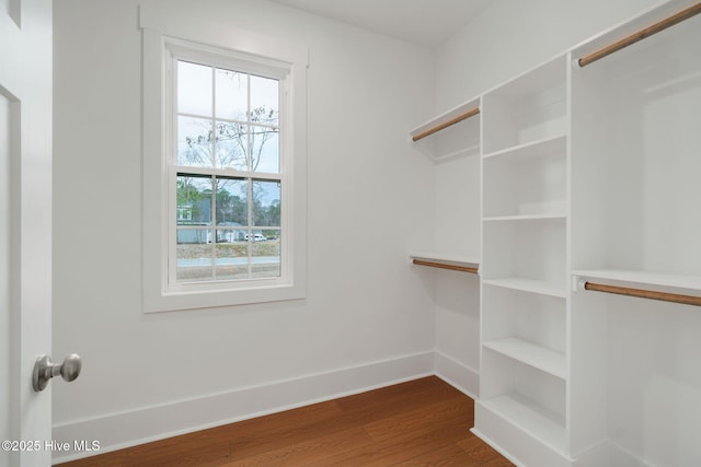 walk in closet featuring wood-type flooring