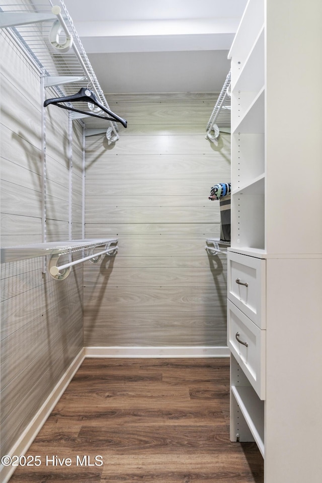 walk in closet featuring dark hardwood / wood-style flooring