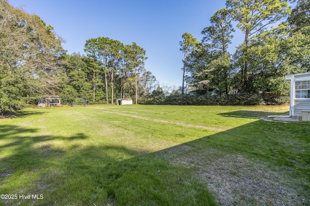 view of yard featuring a storage shed