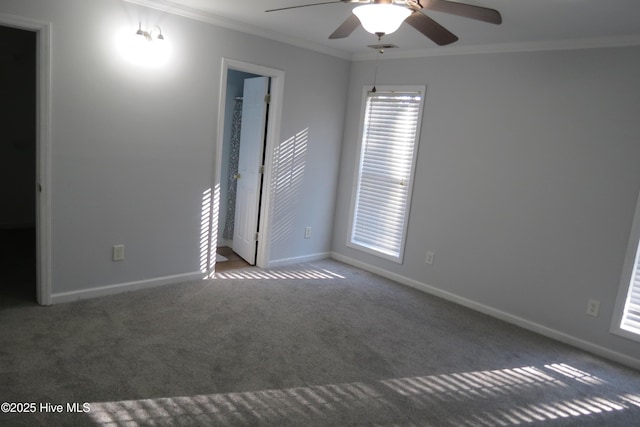 carpeted empty room with ceiling fan and ornamental molding