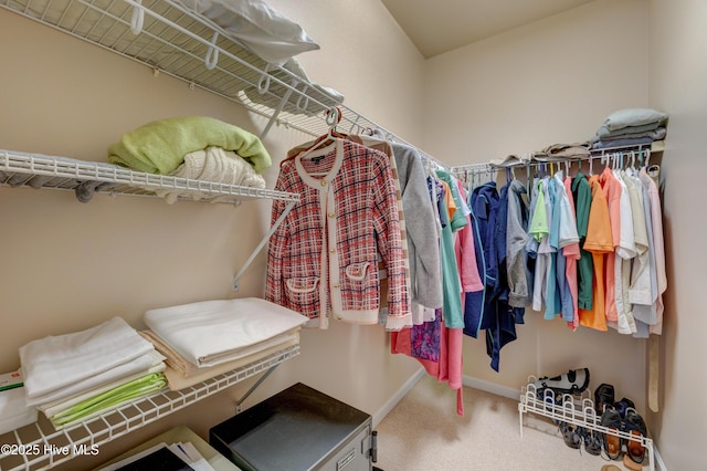 spacious closet featuring carpet floors