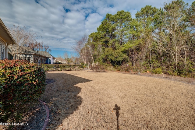 view of yard