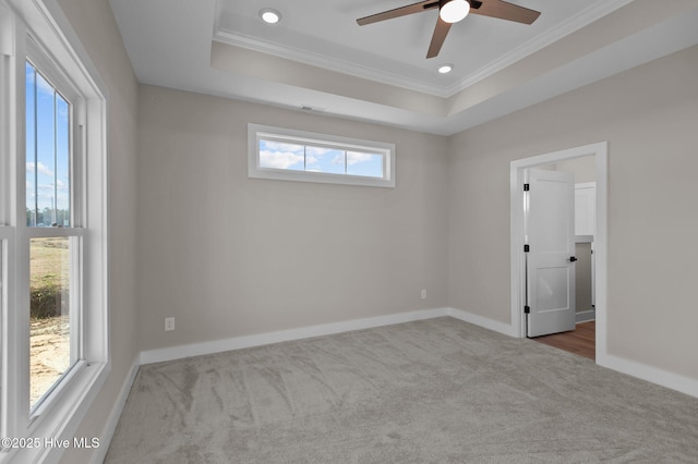 carpeted empty room with a tray ceiling and a wealth of natural light