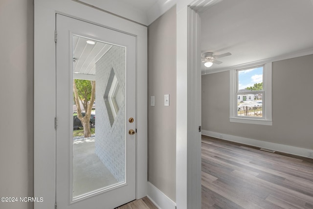 foyer with ceiling fan, light wood-type flooring, and a wealth of natural light