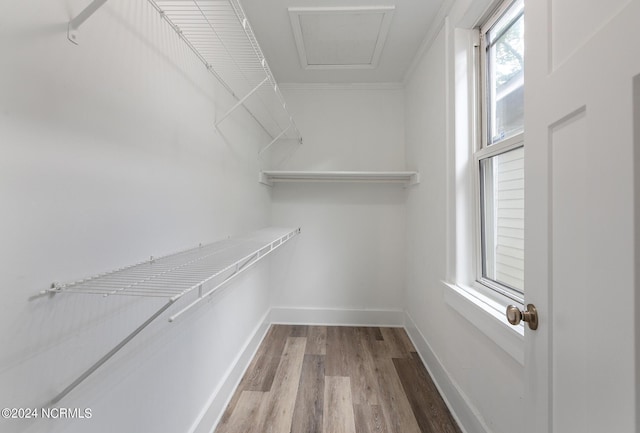 walk in closet with hardwood / wood-style floors