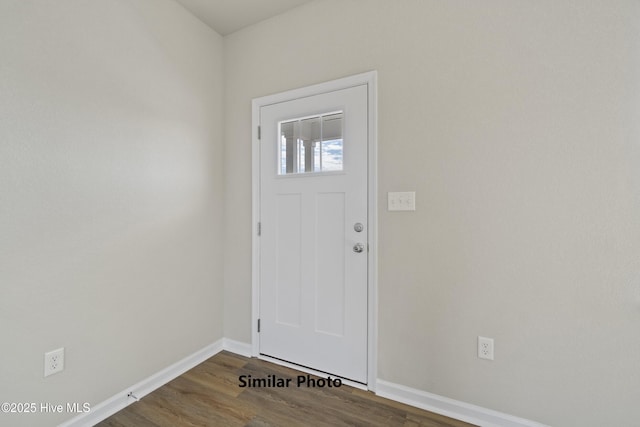 foyer entrance featuring wood-type flooring