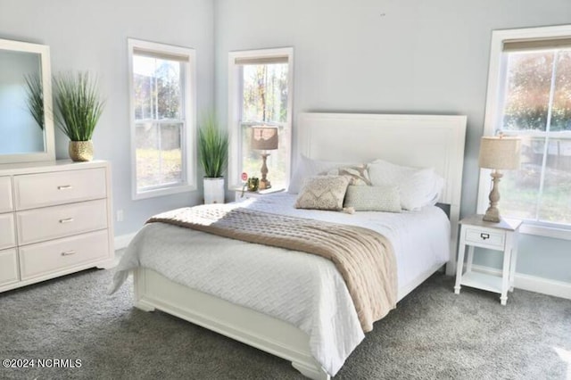 carpeted bedroom featuring multiple windows