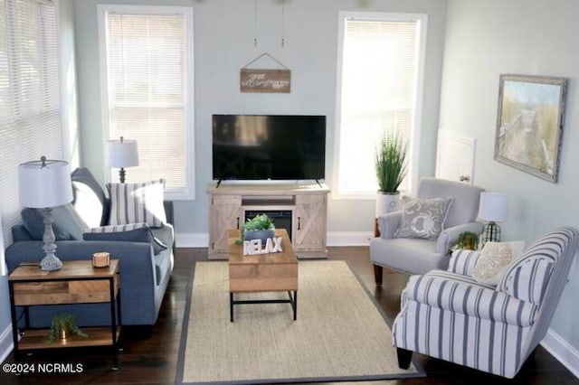 living room with dark hardwood / wood-style floors