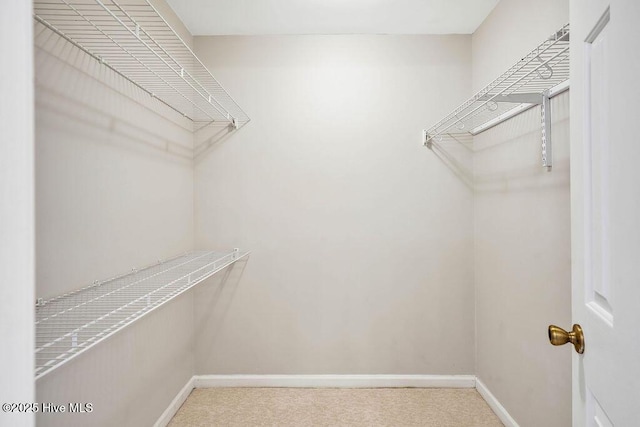 spacious closet with carpet floors