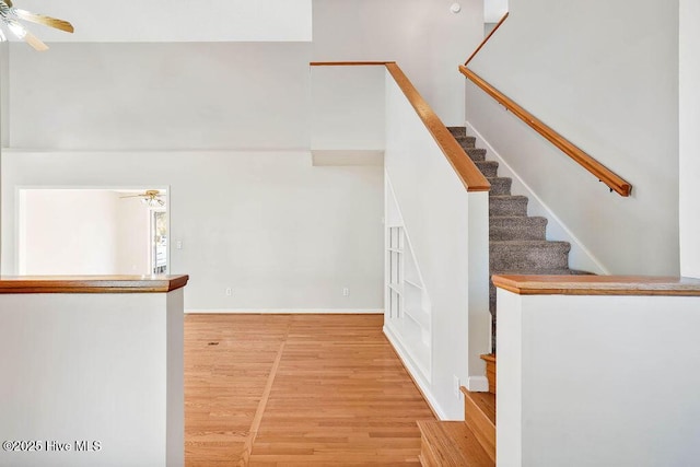 staircase featuring wood-type flooring and ceiling fan