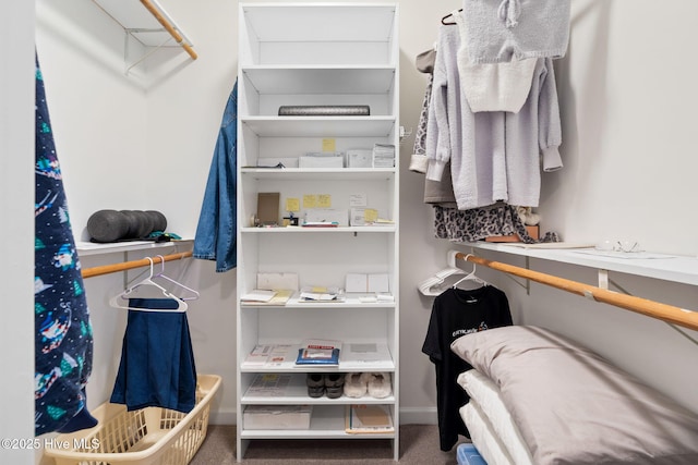 4379 Gauntlet Dr, Southport, NC 28461 - walk in closet with carpet