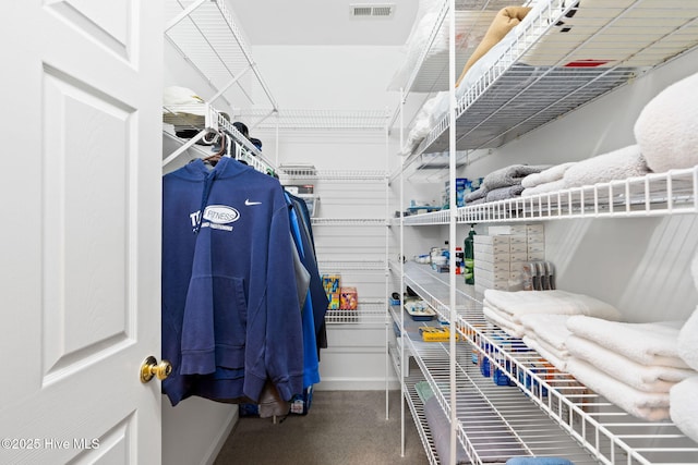 4379 Gauntlet Dr, Southport, NC 28461 - view of spacious closet