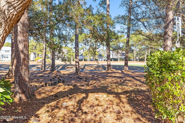 4379 Gauntlet Dr, Southport, NC 28461 - view of yard