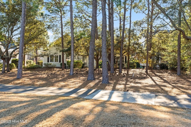 4379 Gauntlet Dr, Southport, NC 28461 - view of front facade
