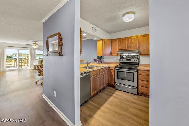 kitchen with sink, ceiling fan, light wood-type flooring, a textured ceiling, and stainless steel appliances