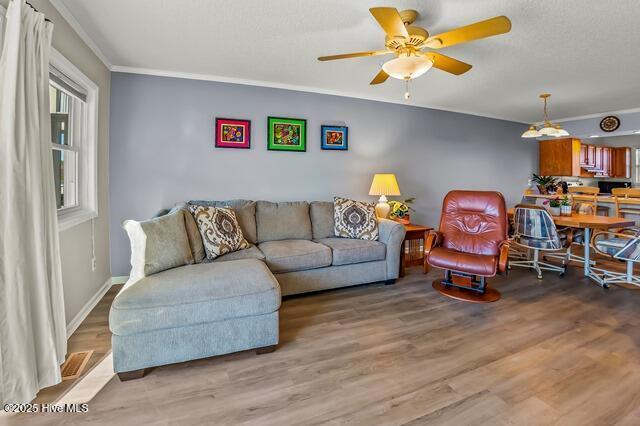 living room with ceiling fan, plenty of natural light, light hardwood / wood-style floors, and ornamental molding