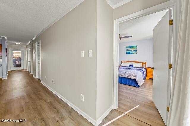 hall featuring a textured ceiling, light wood-type flooring, and ornamental molding