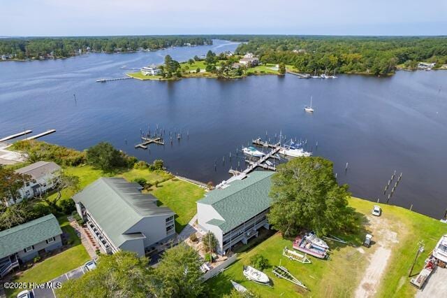 bird's eye view with a water view