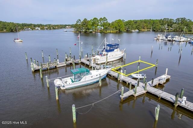 view of dock featuring a water view