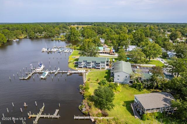 bird's eye view featuring a water view