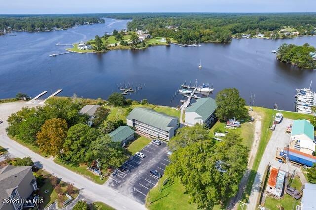 bird's eye view with a water view