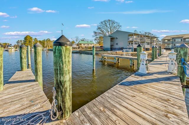 dock area with a water view