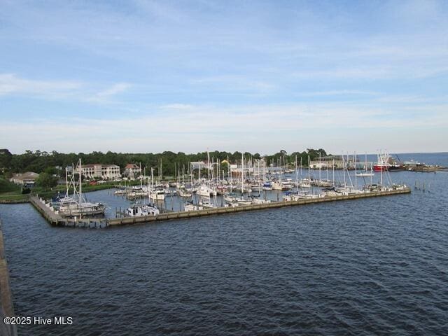 property view of water with a dock