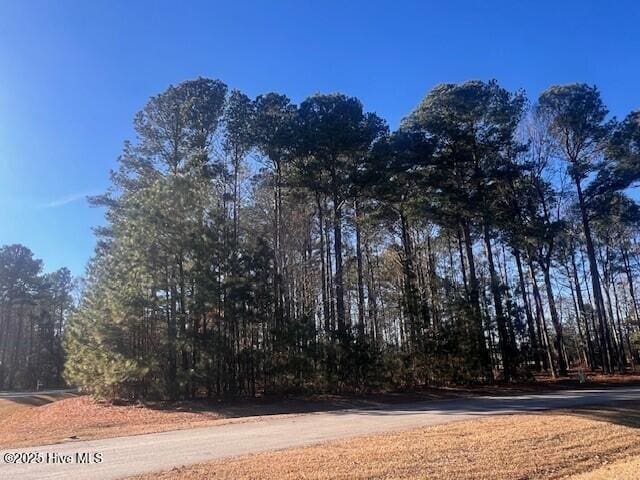 Listing photo 2 for JJ-65 Standard Bred Way, Hertford NC 27944