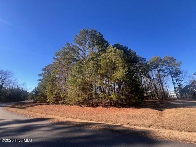 Listing photo 3 for JJ-65 Standard Bred Way, Hertford NC 27944