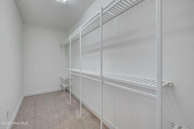 spacious closet featuring light carpet