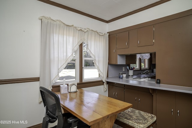 office with ornamental molding and a wealth of natural light