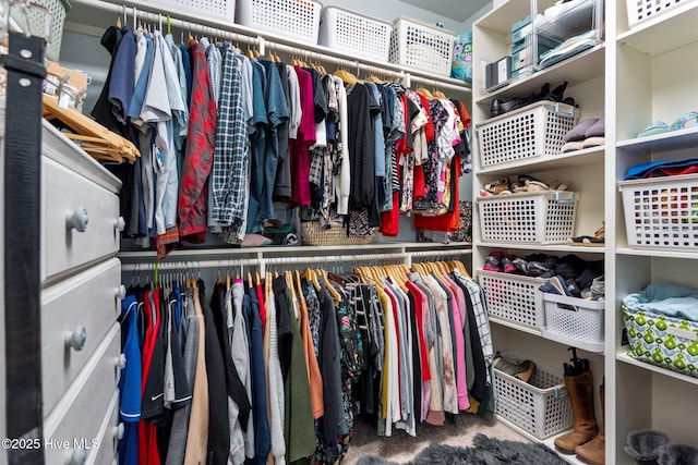 walk in closet with carpet