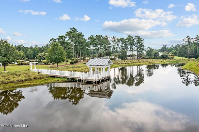 dock area with a water view