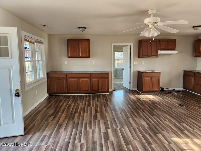 kitchen featuring ceiling fan and dark wood-type flooring