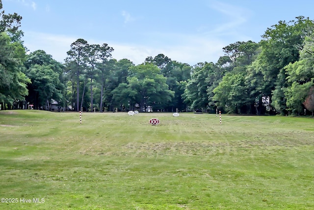 view of community with a lawn