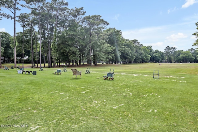 view of property's community featuring a yard