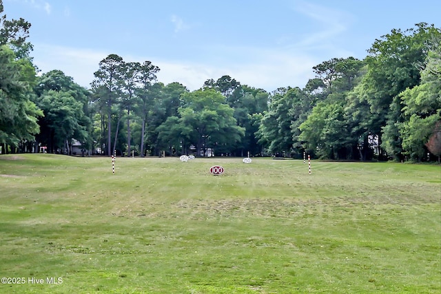 view of community featuring a yard