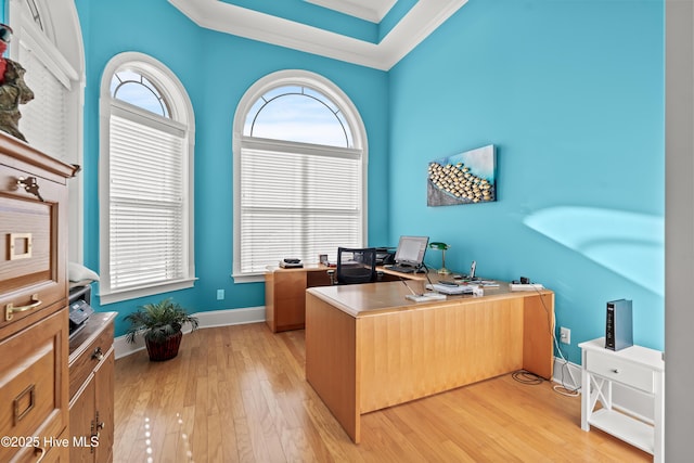 office area with ornamental molding and light hardwood / wood-style floors