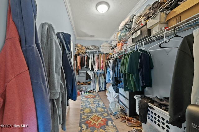 spacious closet featuring light wood-type flooring