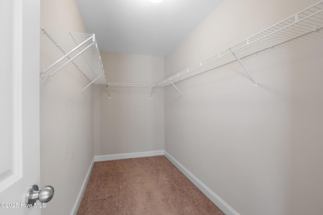 walk in closet featuring carpet