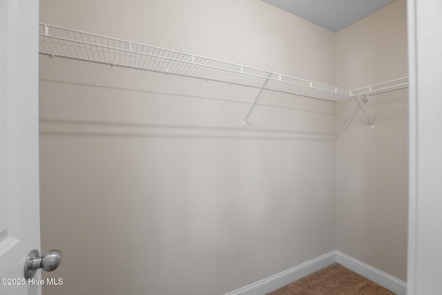 spacious closet featuring carpet floors