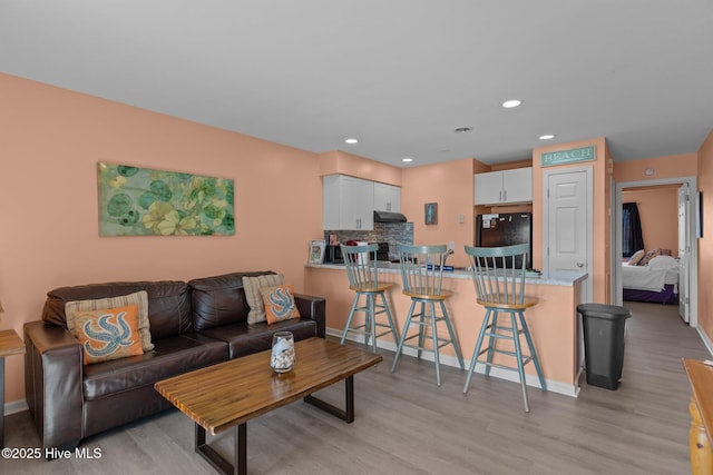 living room featuring light hardwood / wood-style floors