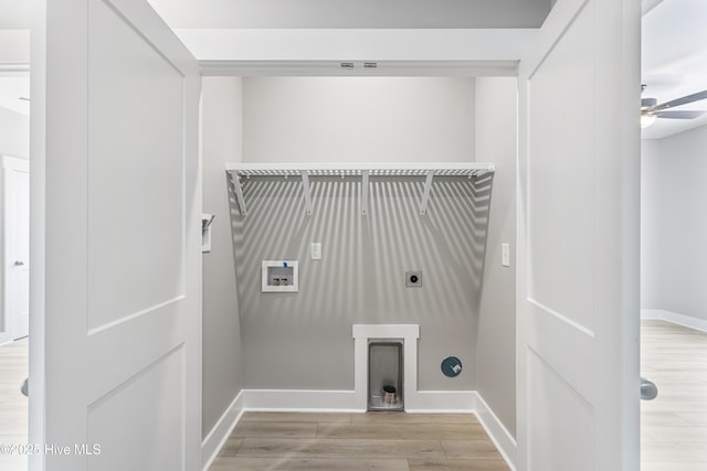 laundry area featuring ceiling fan, laundry area, light wood finished floors, and hookup for a washing machine